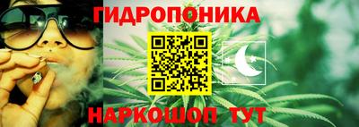 стаф Берёзовский