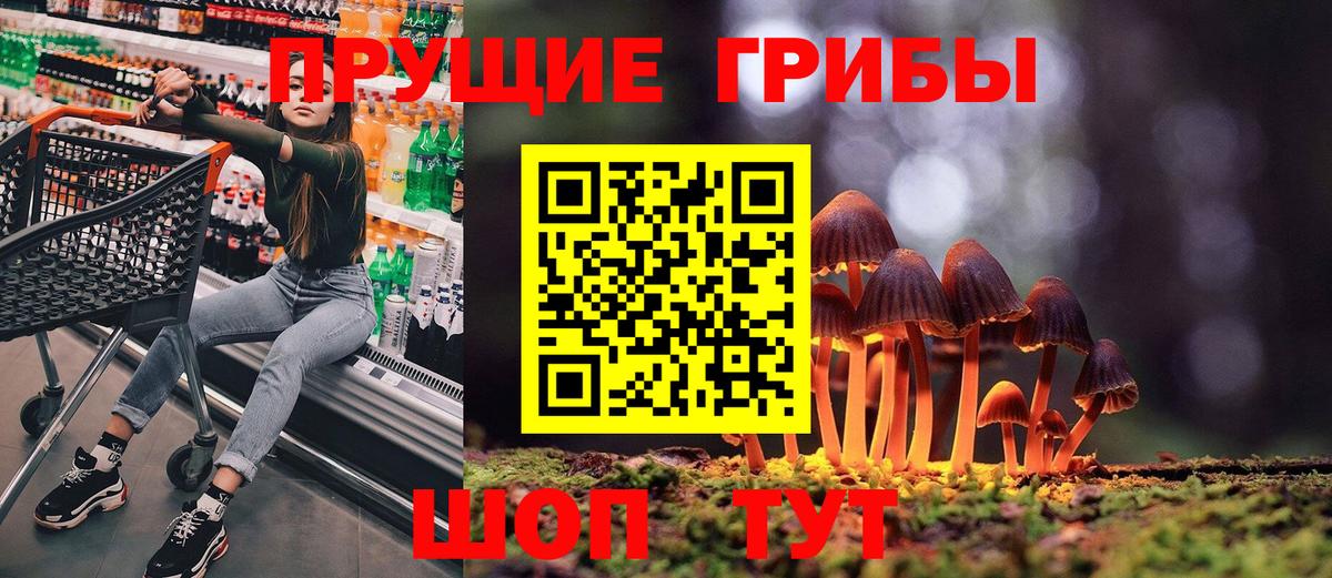 Псилоцибиновые грибы MAGIC MUSHROOMS Елец